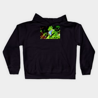 Morphofalter Schmetterling / Swiss Artwork Photography Kids Hoodie